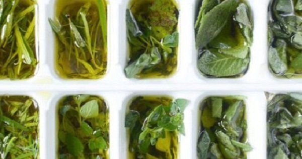 Теперь я буду замораживать травы только так! Удивительный метод…