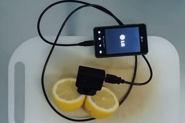 Как зарядить телефон с помощью лимона: видео, которое озадачило многих!