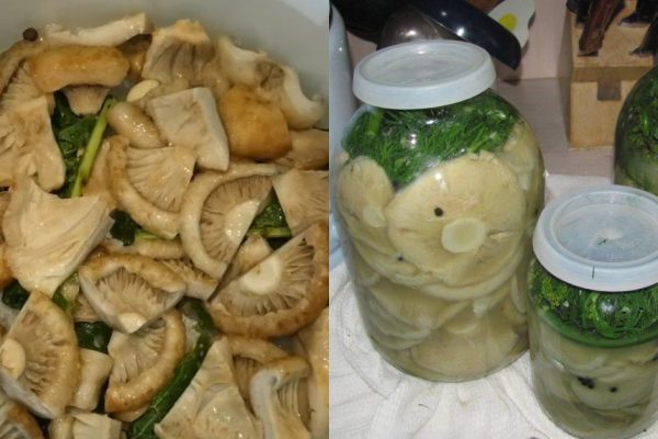 Как засолить грузди