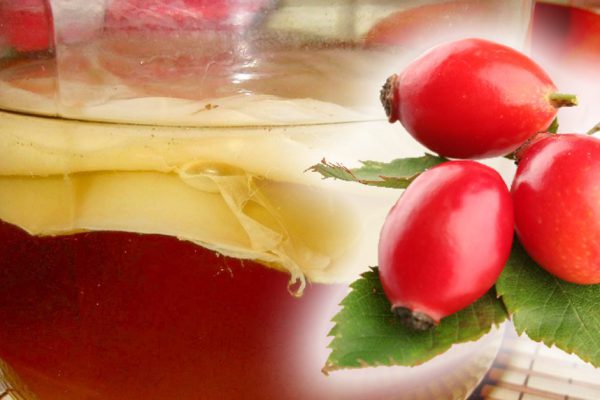 Безрассудные хозяйки неправильно заваривают шиповник, разрушая витамин С и сводя на нет всю пользу от напитка