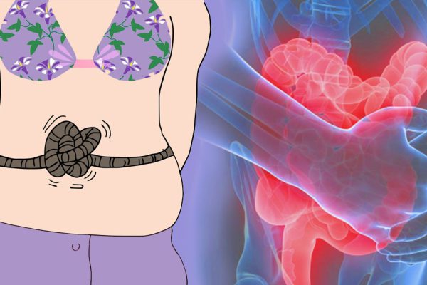 Теперь переедать не получится! Все желающие похудеть обязаны выпивать по 2 чашки иван-чая ежедневно…