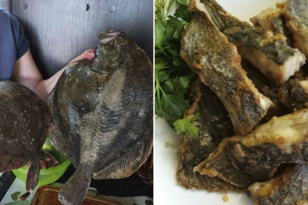 Светлана из Бердянска рассказала, как пожарить свежую камбалу, только что принесенную с рынка