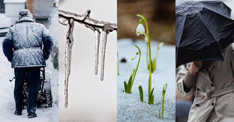 какой будет погода в 2019 году