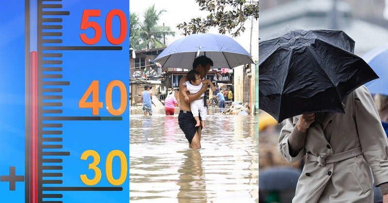 погода 2019 год май