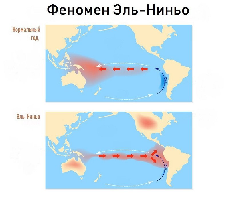 погода 2019 год июнь