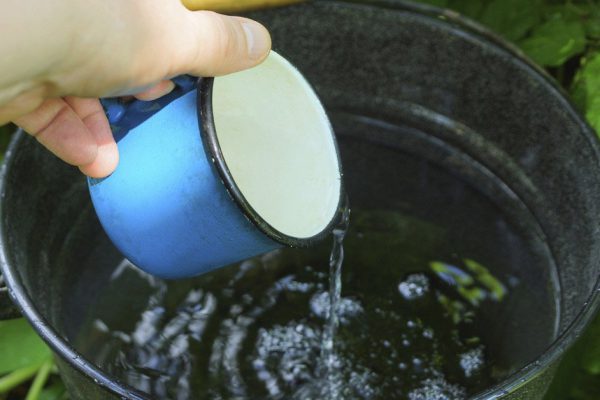 Как понять, что из колодца можно напиться без опаски