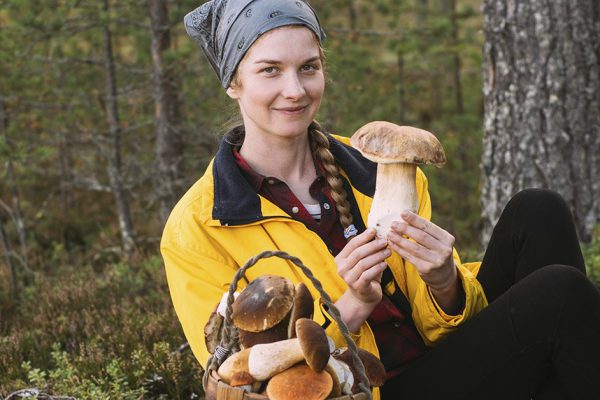 Почему любители «тихой охоты» брезгуют брать моховики, это же отменные съедобные грибы