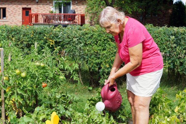 Active senior woman watering the plants in her garden