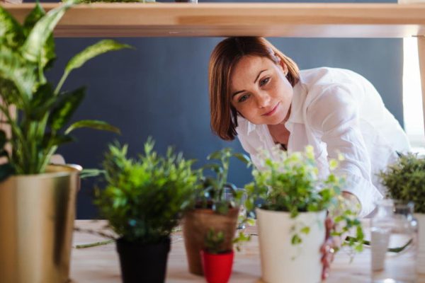A young creative woman arranging flowers in a flower shop. A startup of florist business.