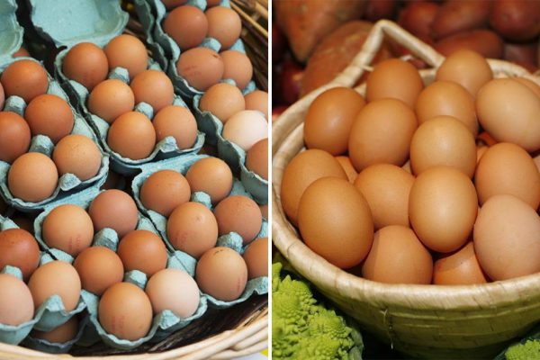 Как определить свежесть яйца