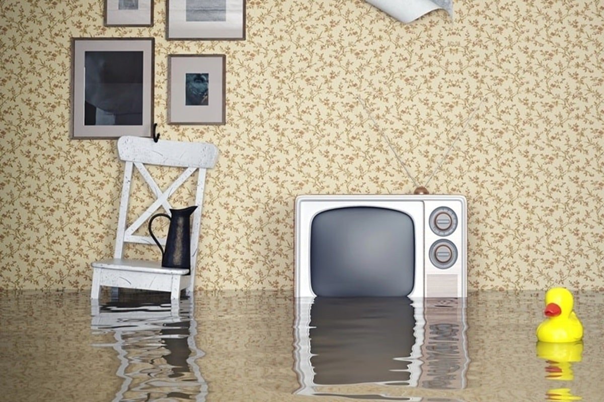 какое лето ожидается в 2024 году