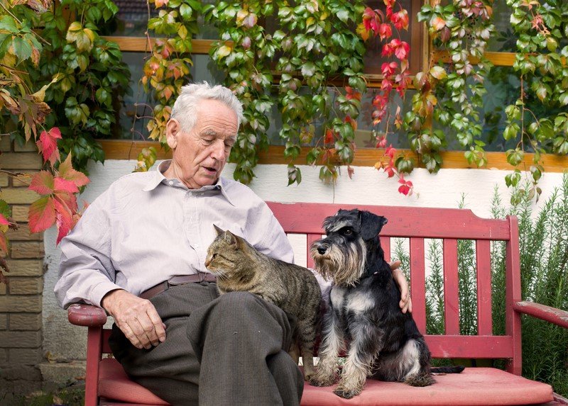 Почему коты и собаки помогают справиться с одиночеством Советы,Дом,Животные,Психология,Счастье