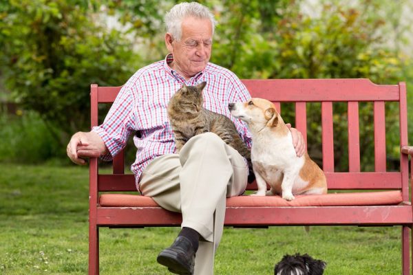 Old man resting on bench and cuddling dog and cat