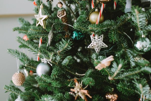 Что сделать, чтобы новогодняя елка простояла дольше