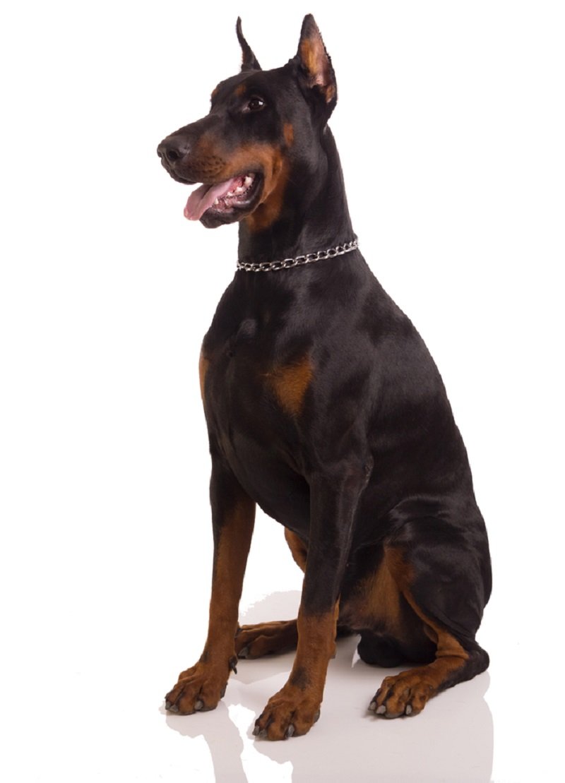 тест на идеального мужчину