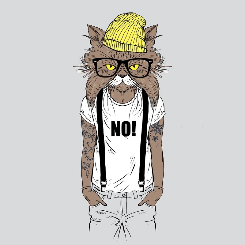 типы мужчин