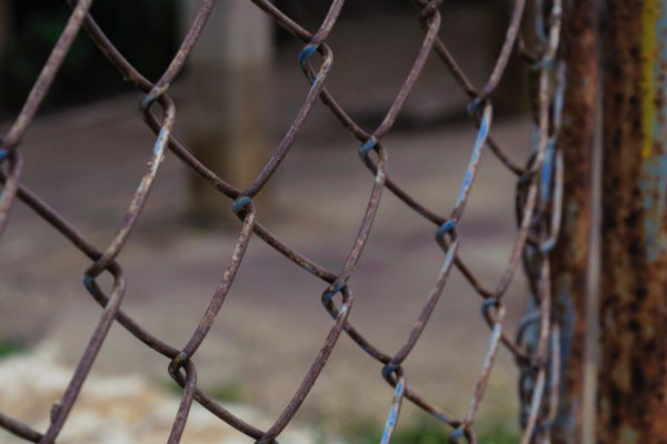 Выкорчевал сетку-рабицу на участке и показываю, каким милым забором ее заменил