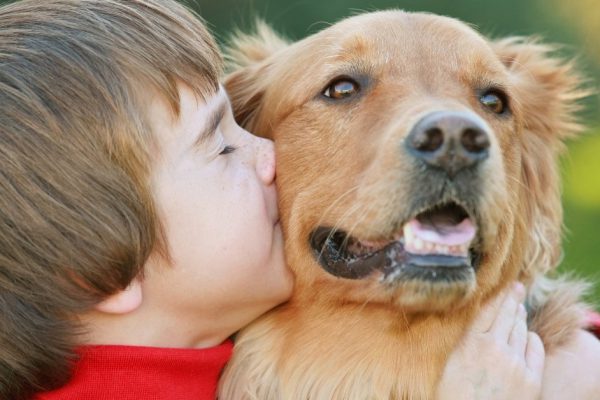 Почему стоит завести собаку