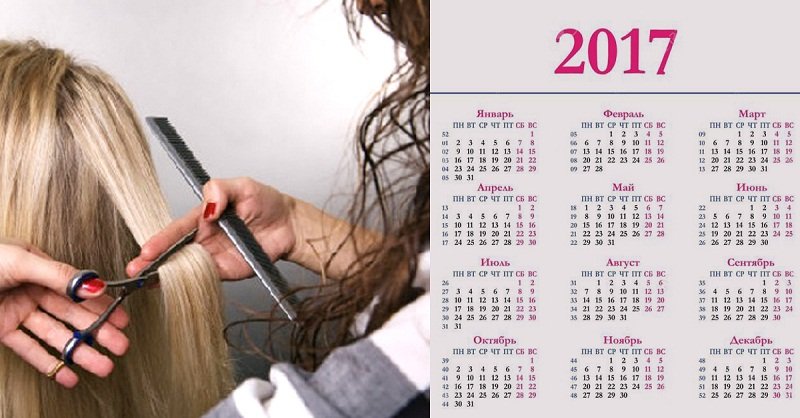 календарь стрижек
