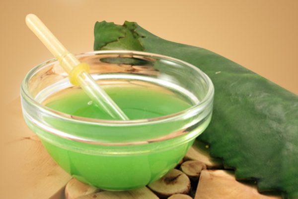 Настоящий доктор у тебя на подоконнике! Как вылечить насморк с помощью каланхоэ.