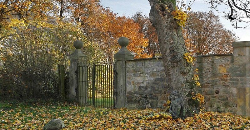 йорг дустервальд