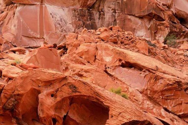 Среди бревен и камней прячутся женщины… Если ты их обнаружил, твой IQ выше среднего!