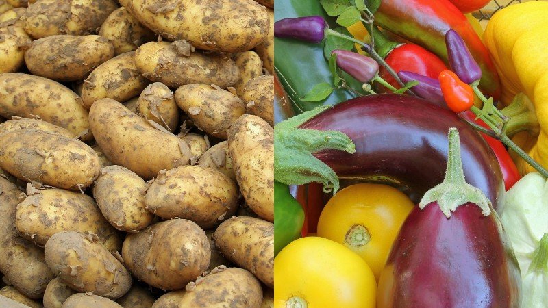 польза и вред запеченного картофеля