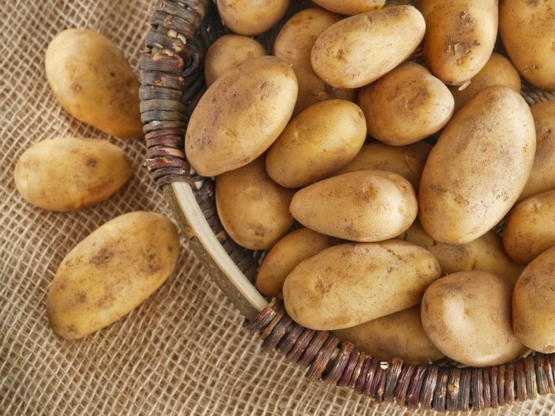 картофельные зразы рецепт