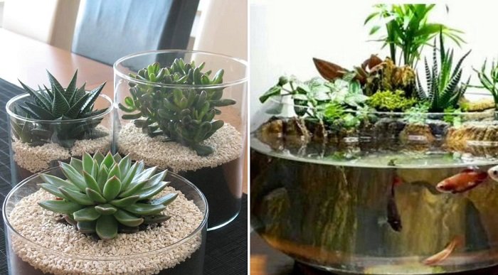 создание флорариумов