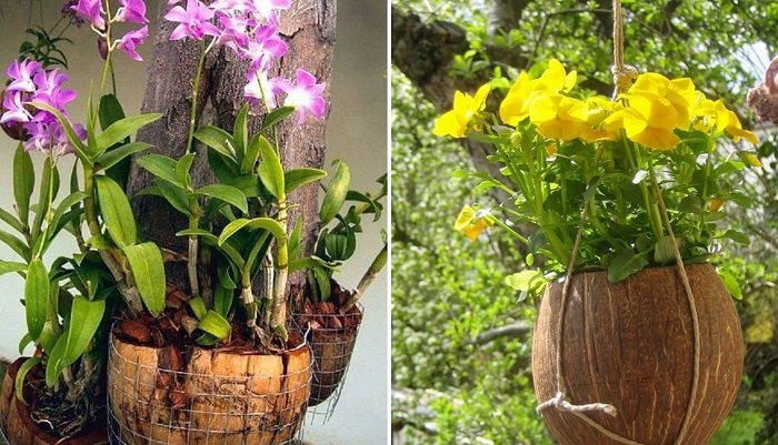 цветочные горшки