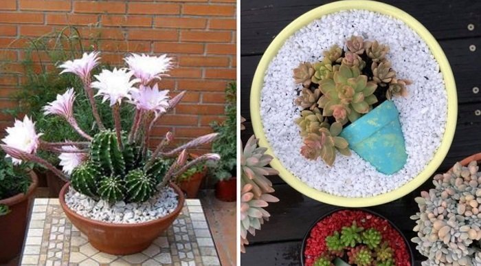 красивые композиции