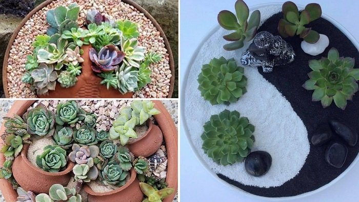 красивые цветочные композиции