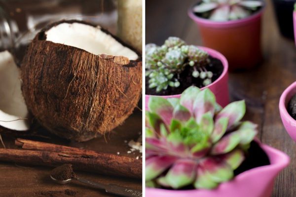 Как сделать кашпо своими руками