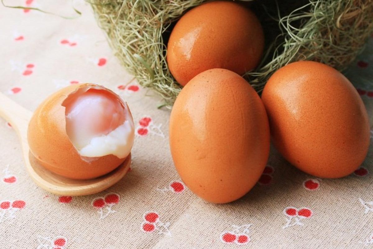 Яйца всмятку. Категории яиц. Куриные и перепелиные яйца. День яйца. Перетянуть яички