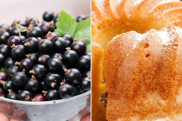 Инструкция по приготовлению кекса на сметане с черной смородиной