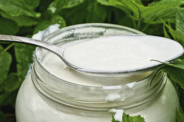 Правда ли, что кисломолочка воскрешает даже самый хилый иммунитет