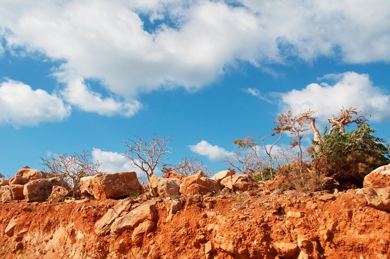 Почему нужно ценить каждый прожитый день Почему нужно ценить каждый прожитый день Вдохновение,Жизнь,Климат,Общество