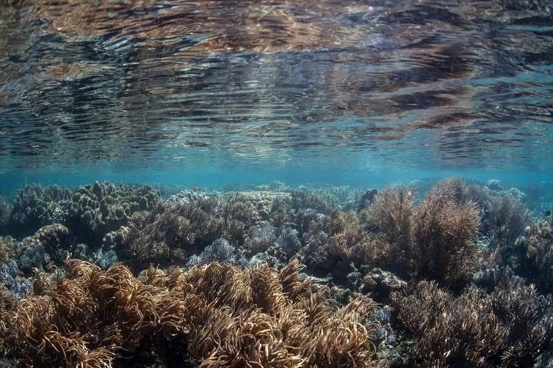 Почему нужно ценить каждый прожитый день Почему нужно ценить каждый прожитый день Вдохновение,Жизнь,Климат,Общество