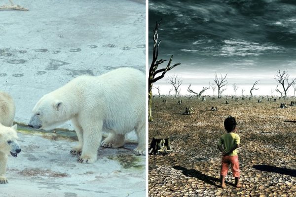 Почему нужно ценить каждый прожитый день