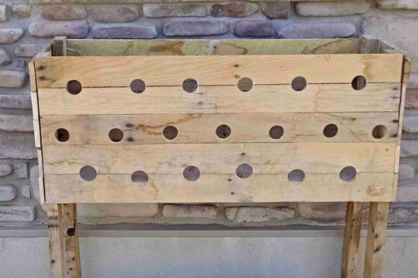 Как превратить сад в предмет гордости