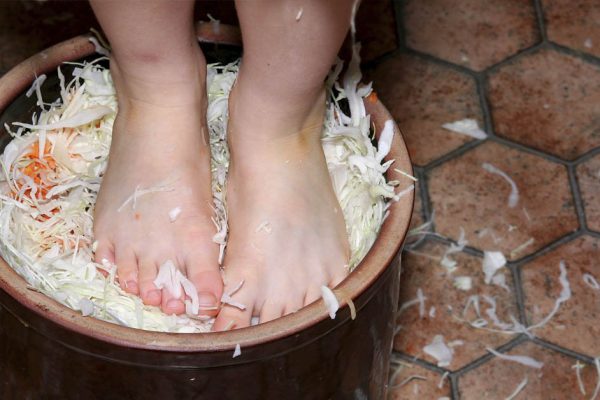 Лучшие дни по лунному календарю, чтобы заквасить капусту в большом количестве