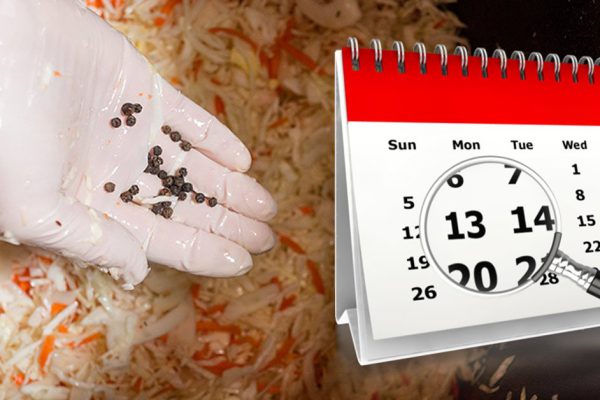 Благоприятные дни для закваски капусты в октябре и ноябре