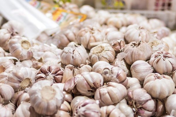 Когда нужно сажать чеснок, чтобы головки выросли особо крупными