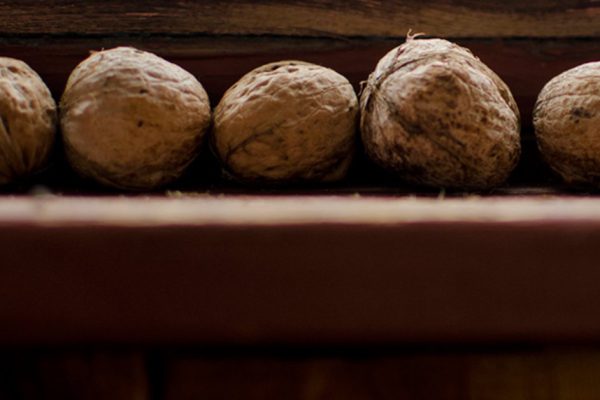 Как научиться выбирать грецкие орехи