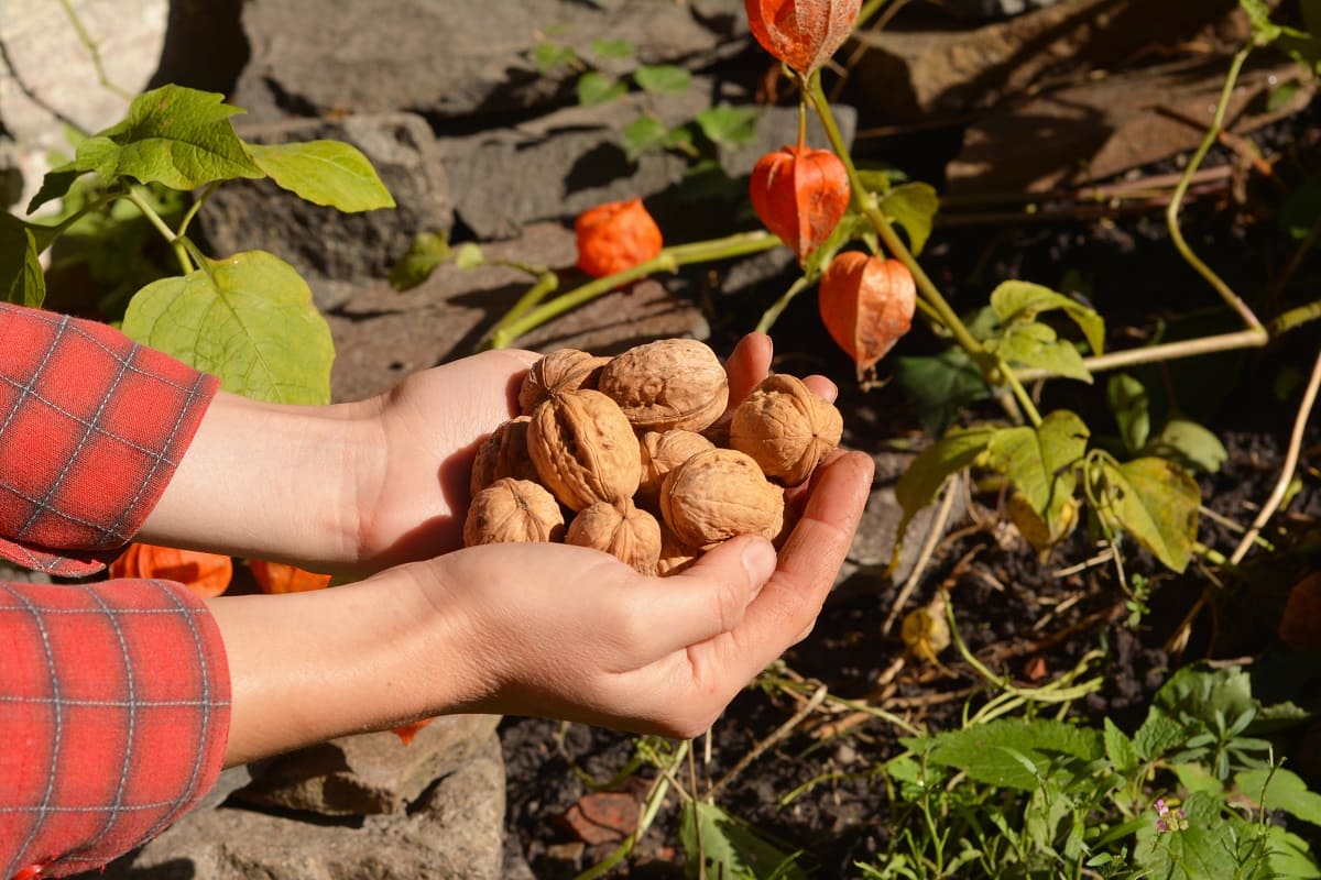 какие спасы в 2024 году