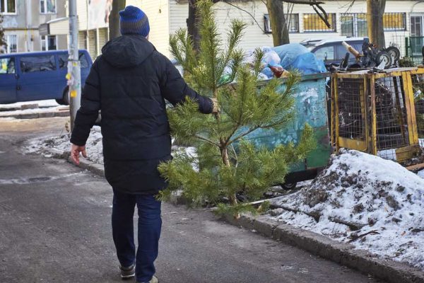 Когда убирать елку после праздников, чтобы всё в жизни было «по фэншую»