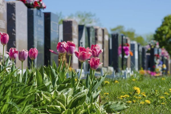 Когда Радоница в 2024 году и какую молитву нужно прочесть в этот день