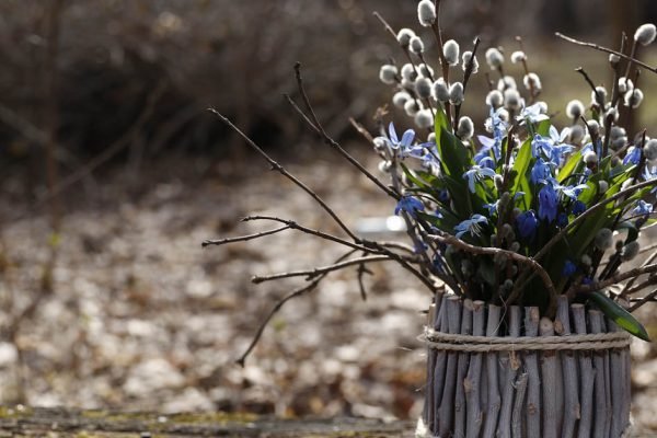 Когда Вербное воскресенье в 2024 году и как подготовиться к нему заранее