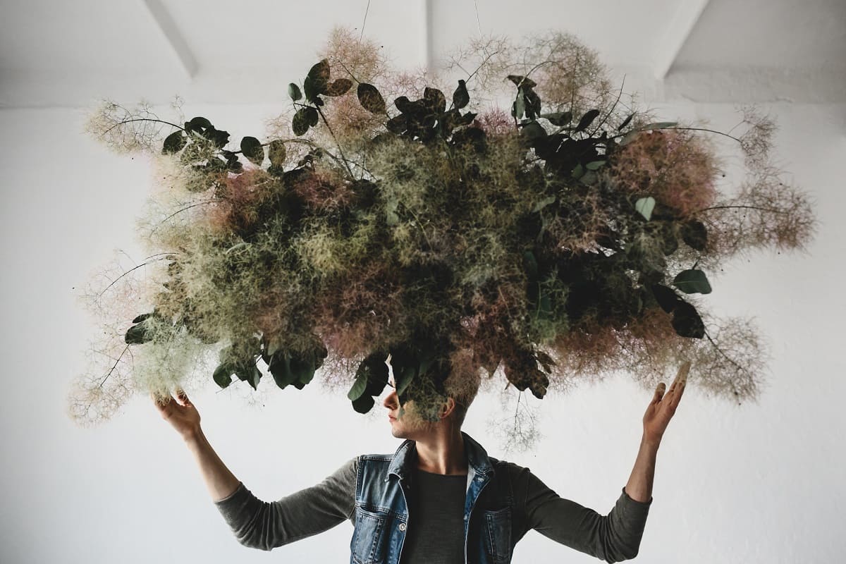 загадать желание