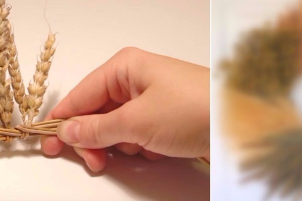Женщина залила колосья пшеницы водой… В мгновение ока она смастерила чудо из чудес!